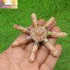Sunstone Healing Generator - Image 2