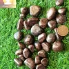Garnet Tumbles - Image 3