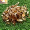 Congo Citrine Tumbles
