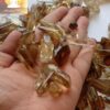 Congo Citrine Tumbles - Image 2