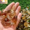 Congo Citrine Tumbles - Image 3