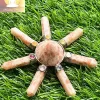 Sunstone Healing Generator - Image 4