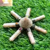 Sunstone Healing Generator - Image 6