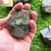 Green Labradorite Raw Small - Image 7